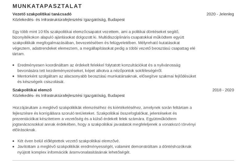 Közszolgálati önéletrajz minta munkatapasztalataidat