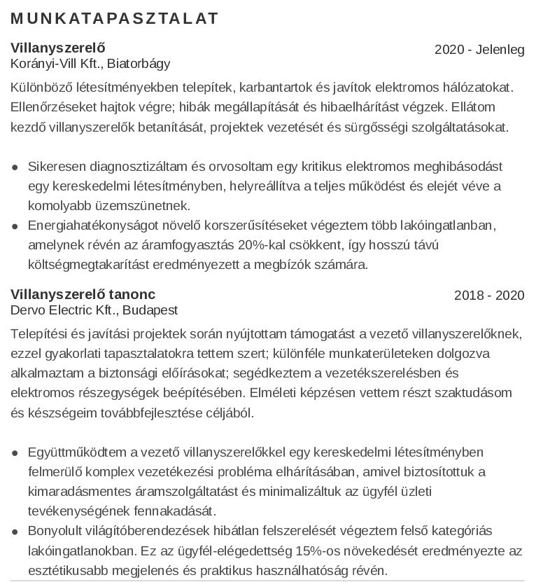 személyes profilt a munkatapasztalataidat